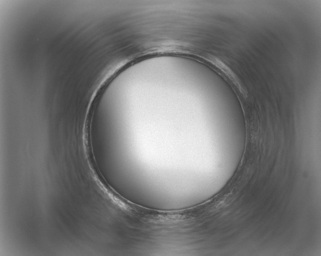 X0000054401285200508191955