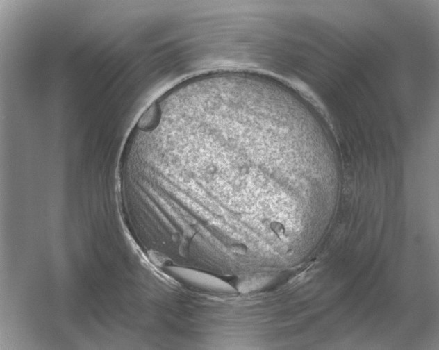 X0000054401287200508191955