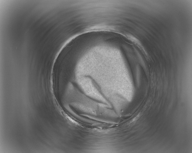 X0000054401288200508191955