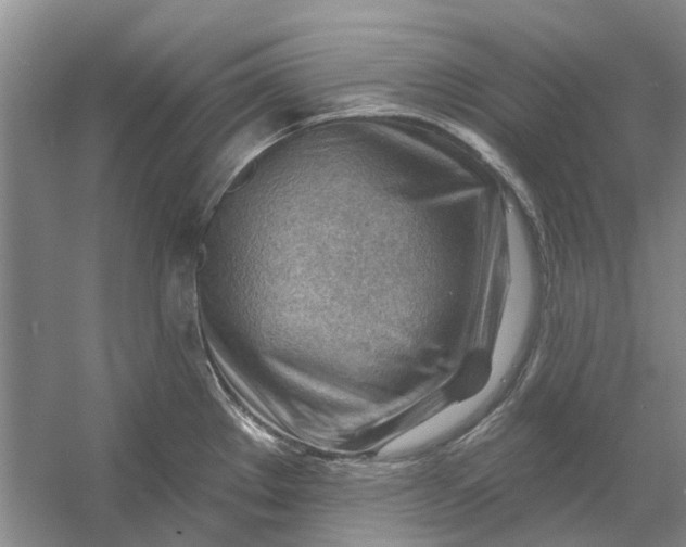 X0000054401289200508191955