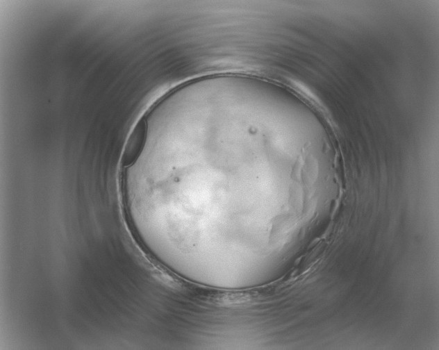 X0000054401291200508191955