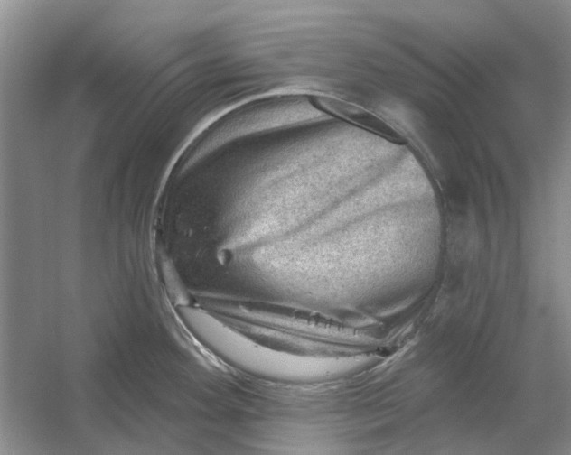 X0000054401292200508191955