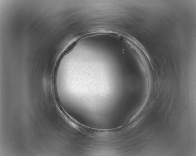 X0000054401293200508191955