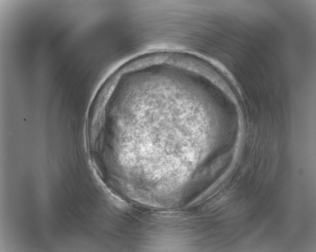 X0000054401295200508191955