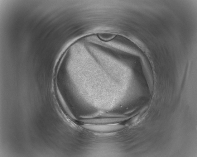 X0000054401296200508191955