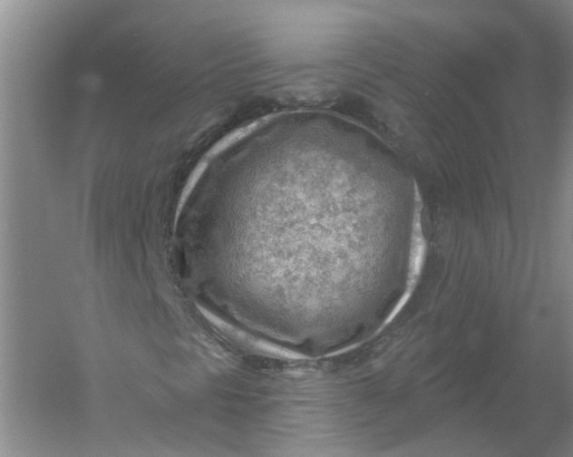 X0000054401297200508191954