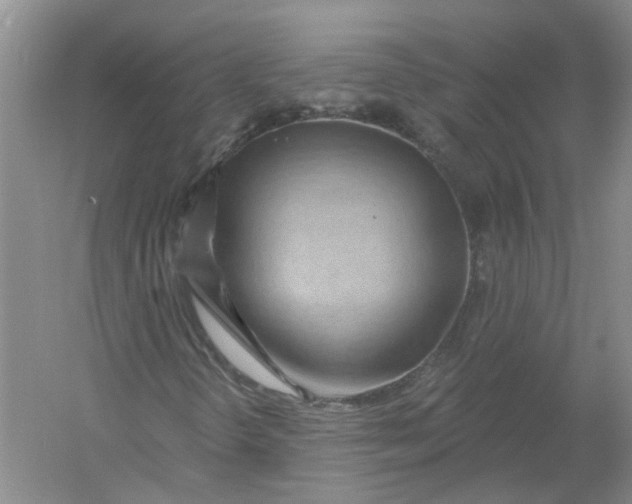 X0000054401298200508191954