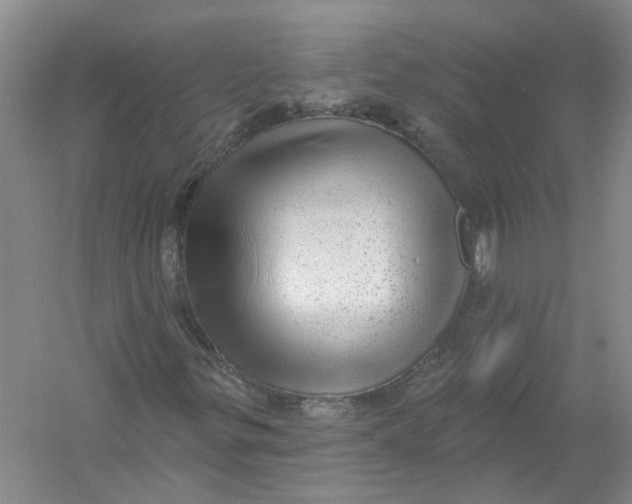 X0000054401299200508191954