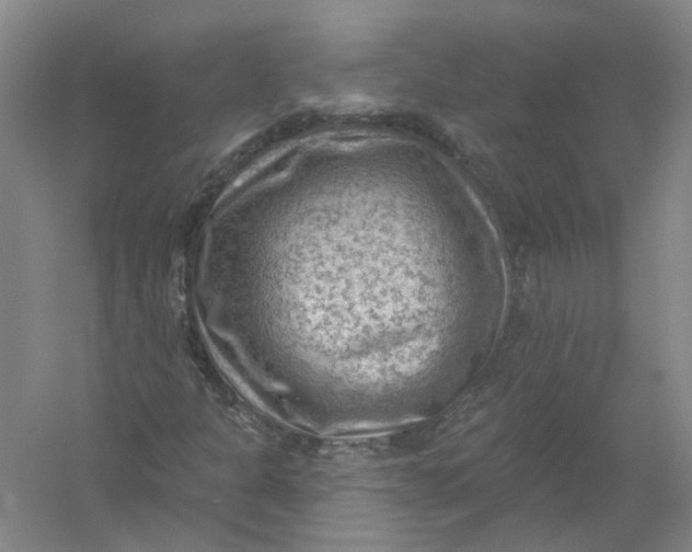 X0000054401301200508191954