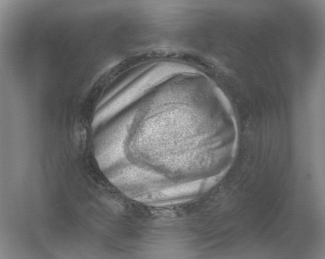 X0000054401302200508191954