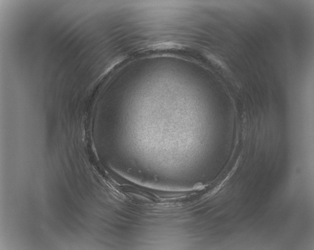 X0000054401305200508191954