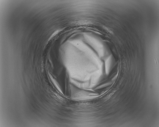 X0000054401306200508191954