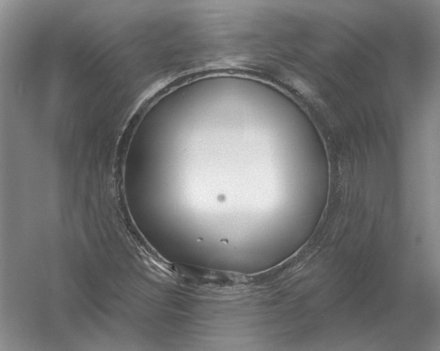 X0000054401308200508191954