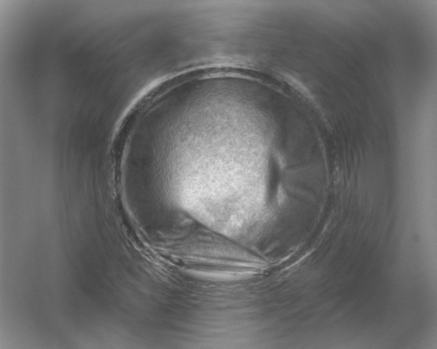 X0000054401310200508191954