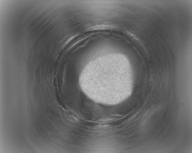 X0000054401313200508191954