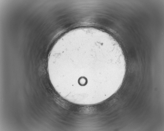 X0000054401314200508191954