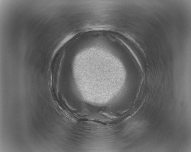 X0000054401317200508191954