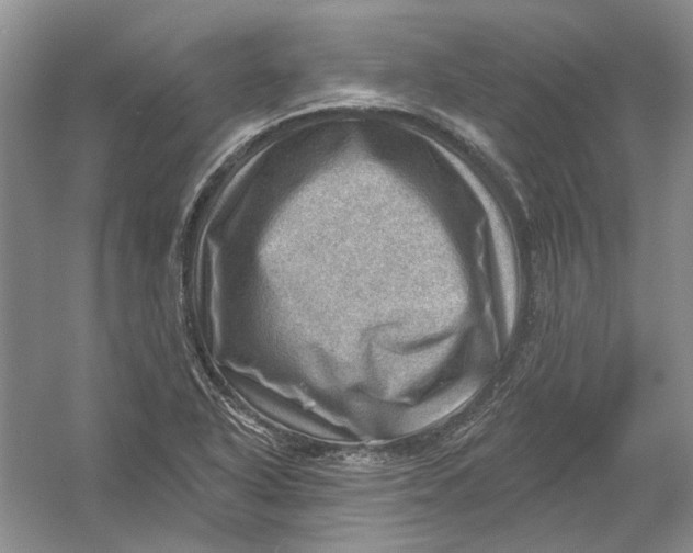 X0000054401318200508191955