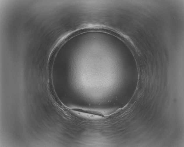 X0000054401319200508191955