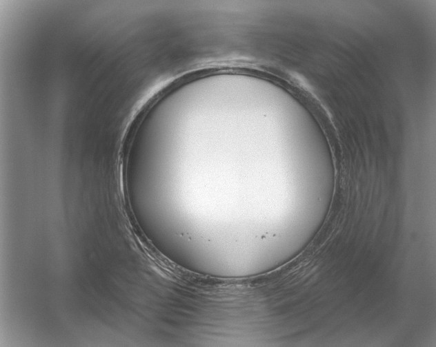 X0000054401320200508191955