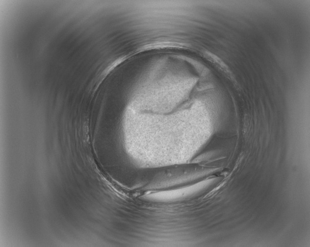 X0000054401321200508191955