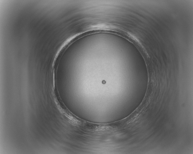 X0000054401323200508191955