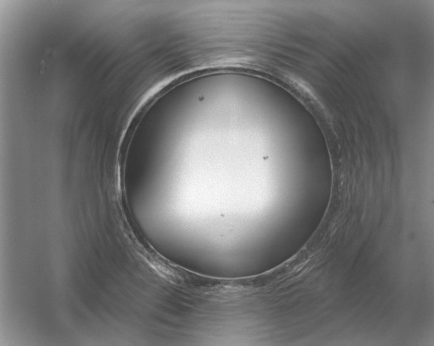 X0000054401324200508191955