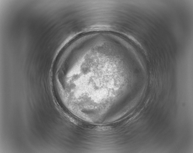 X0000054401325200508191955