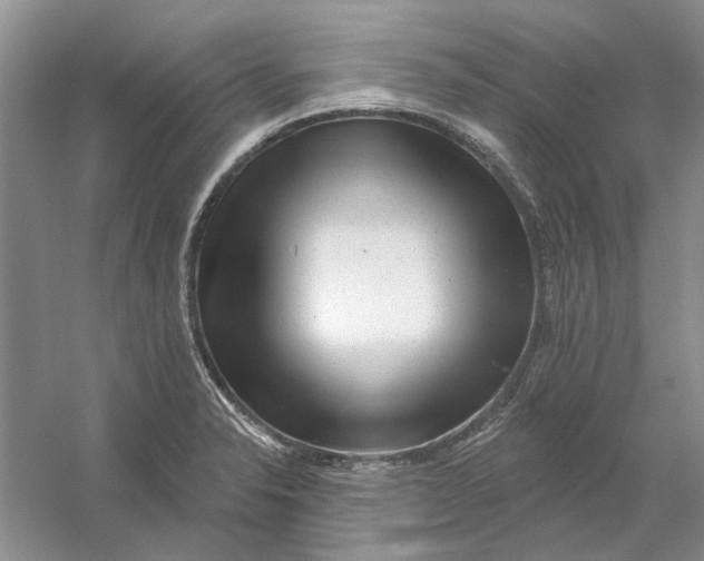 X0000054401326200508191955