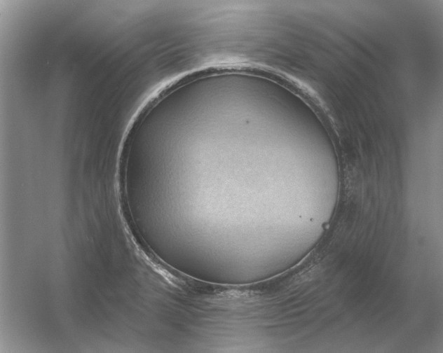 X0000054401327200508191955