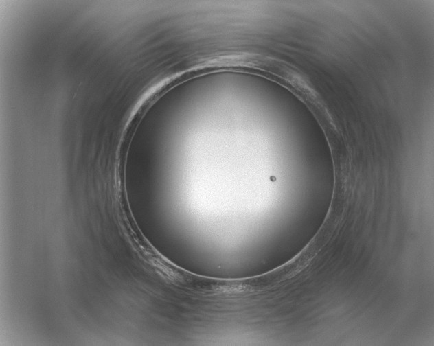 X0000054401328200508191955