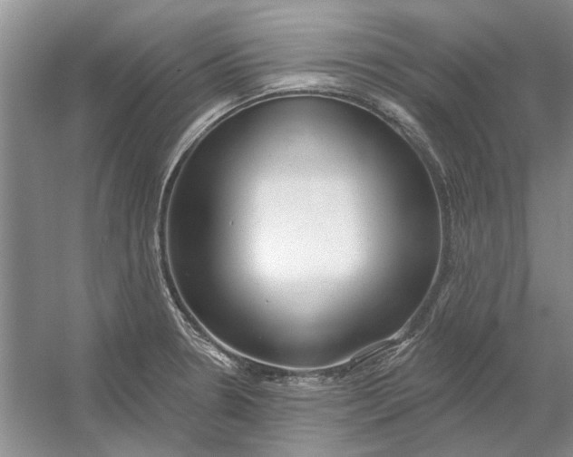 X0000054401330200508191955