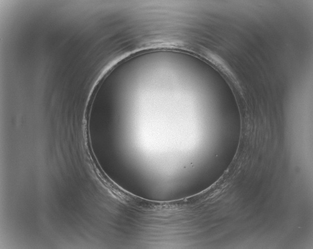 X0000054401332200508191955