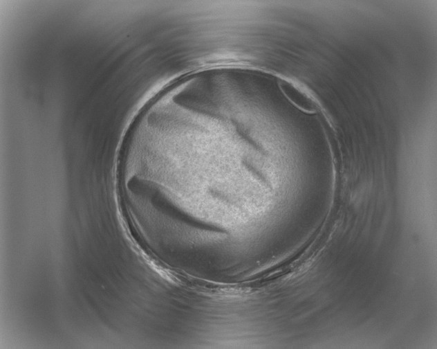 X0000054401333200508191955