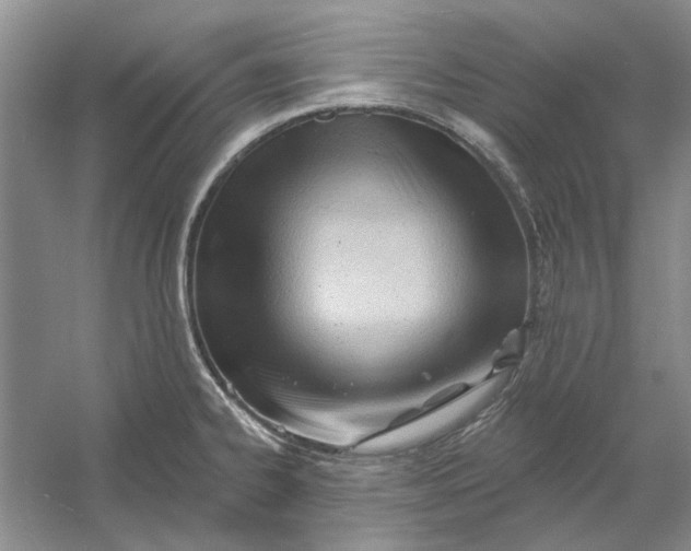 X0000054401334200508191955