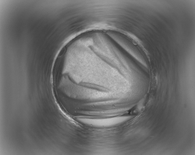 X0000054401335200508191955