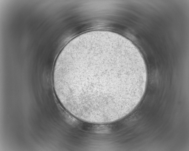 X0000054401338200508191955