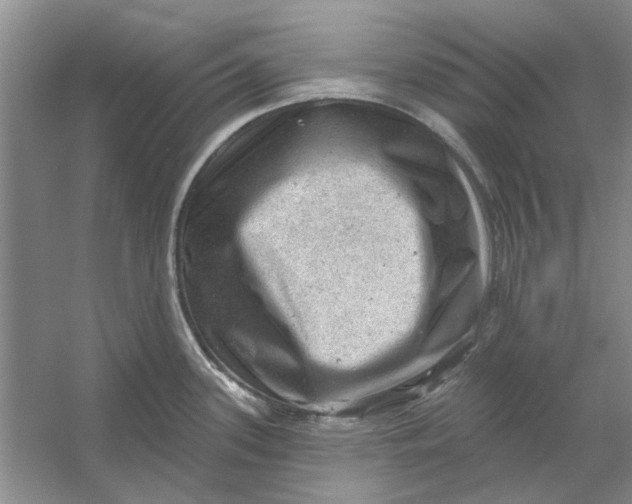 X0000054401339200508191955