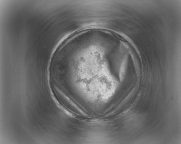 X0000054401341200508191955