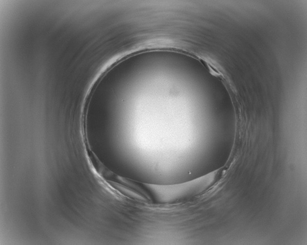 X0000054401342200508191955