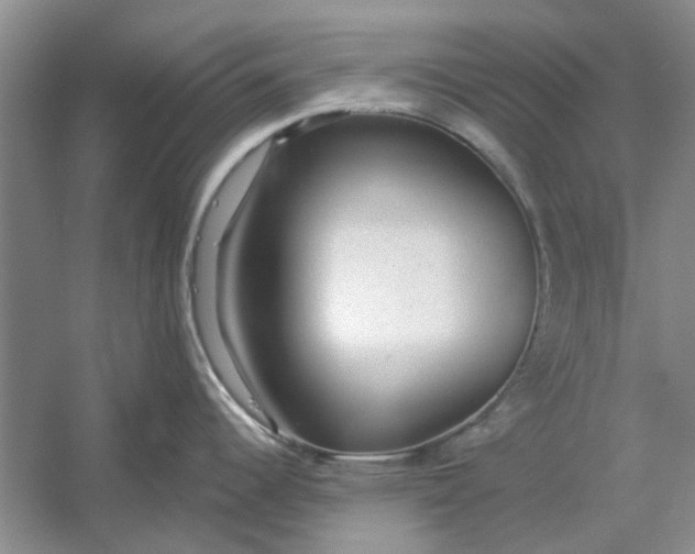 X0000054401344200508191955