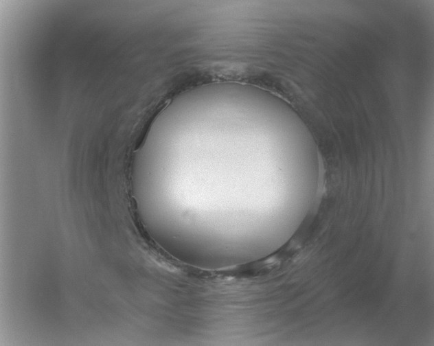 X0000054401345200508191954