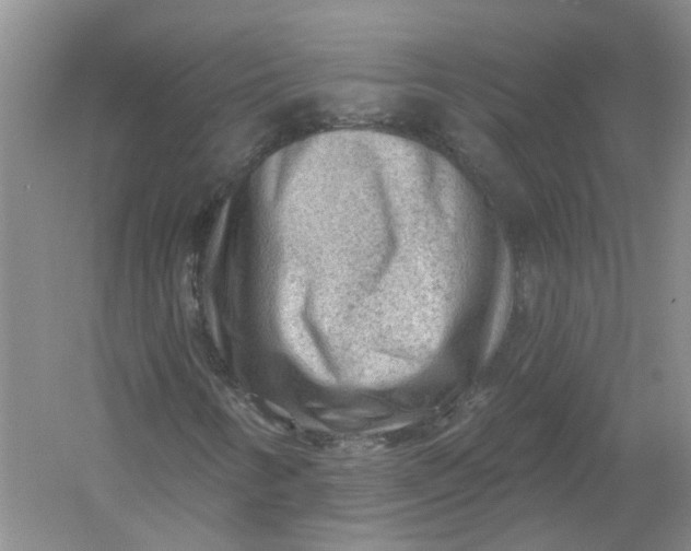 X0000054401346200508191954