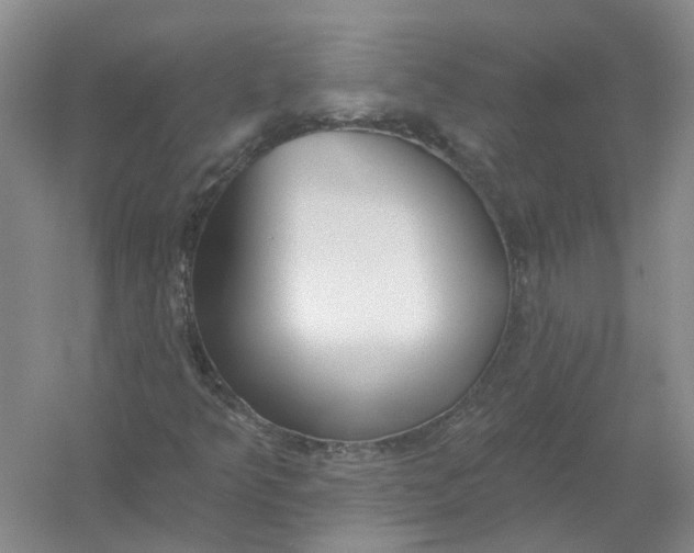 X0000054401349200508191954