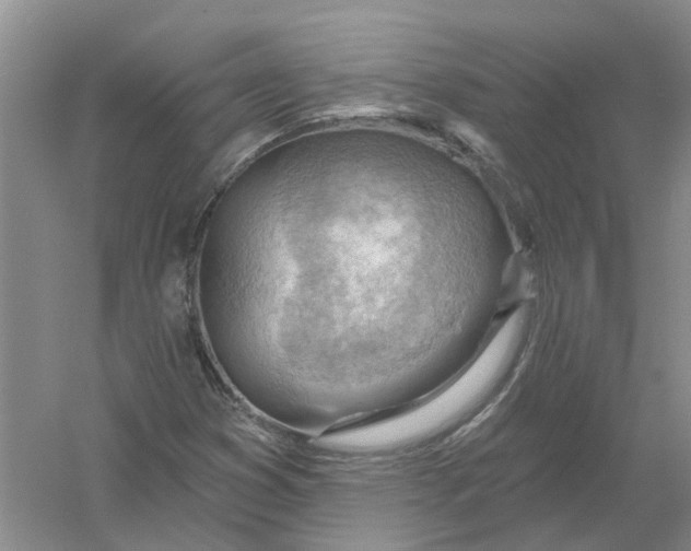 X0000054401353200508191954