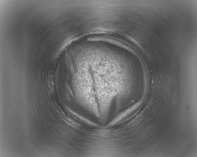 X0000054401355200508191954