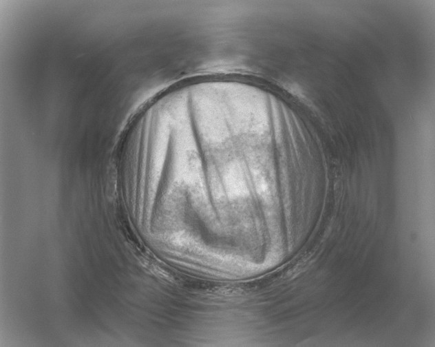 X0000054401358200508191954