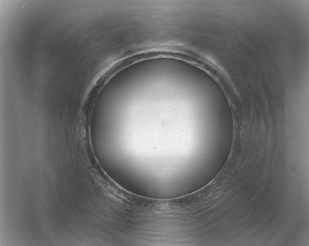 X0000054401360200508191954