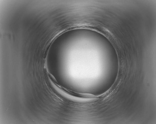 X0000054401361200508191954