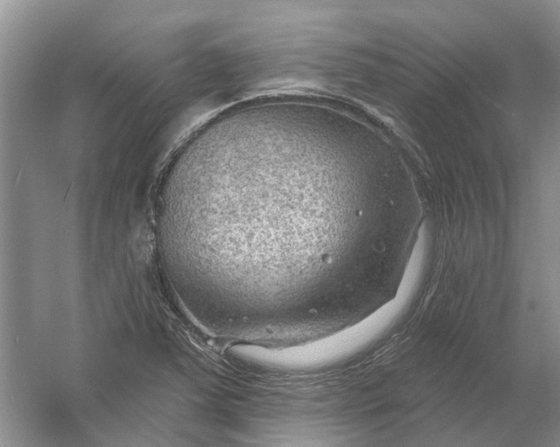 X0000054401363200508191954